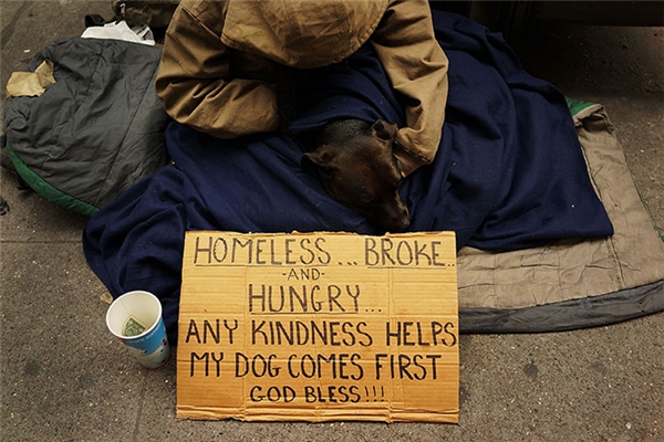 Although he is also suffering from hunger and thirst, this man still begs passersby to help the dog first and then him! Perhaps, he could starve but not see his only loved one suffer.