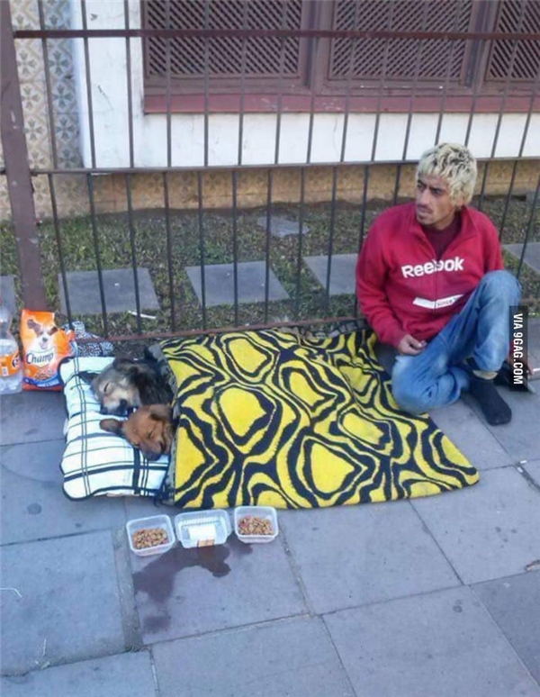 Just seeing their pets get enough, these homeless people already feel warm.