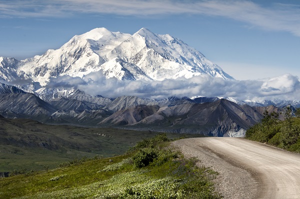 The Untamed Beauty of Denali National Park & Preserve