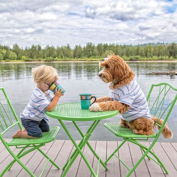 Sincera amistad entre un niño y un adorable perro.