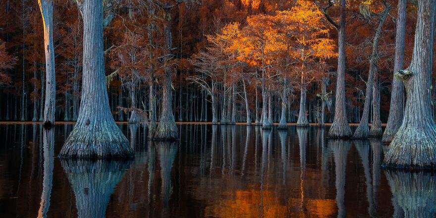 Silver In Nature: "Pond Of A Thousand Lights" By Fenqiang Liu, United States