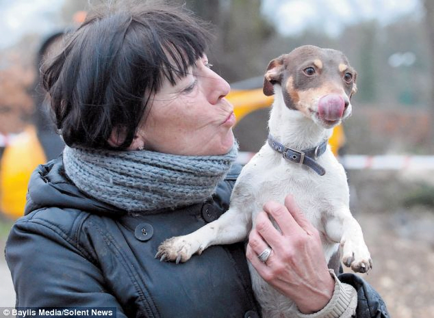 Perros atrapados en el sótano fueron rescatados gracias al esfuerzo de personas